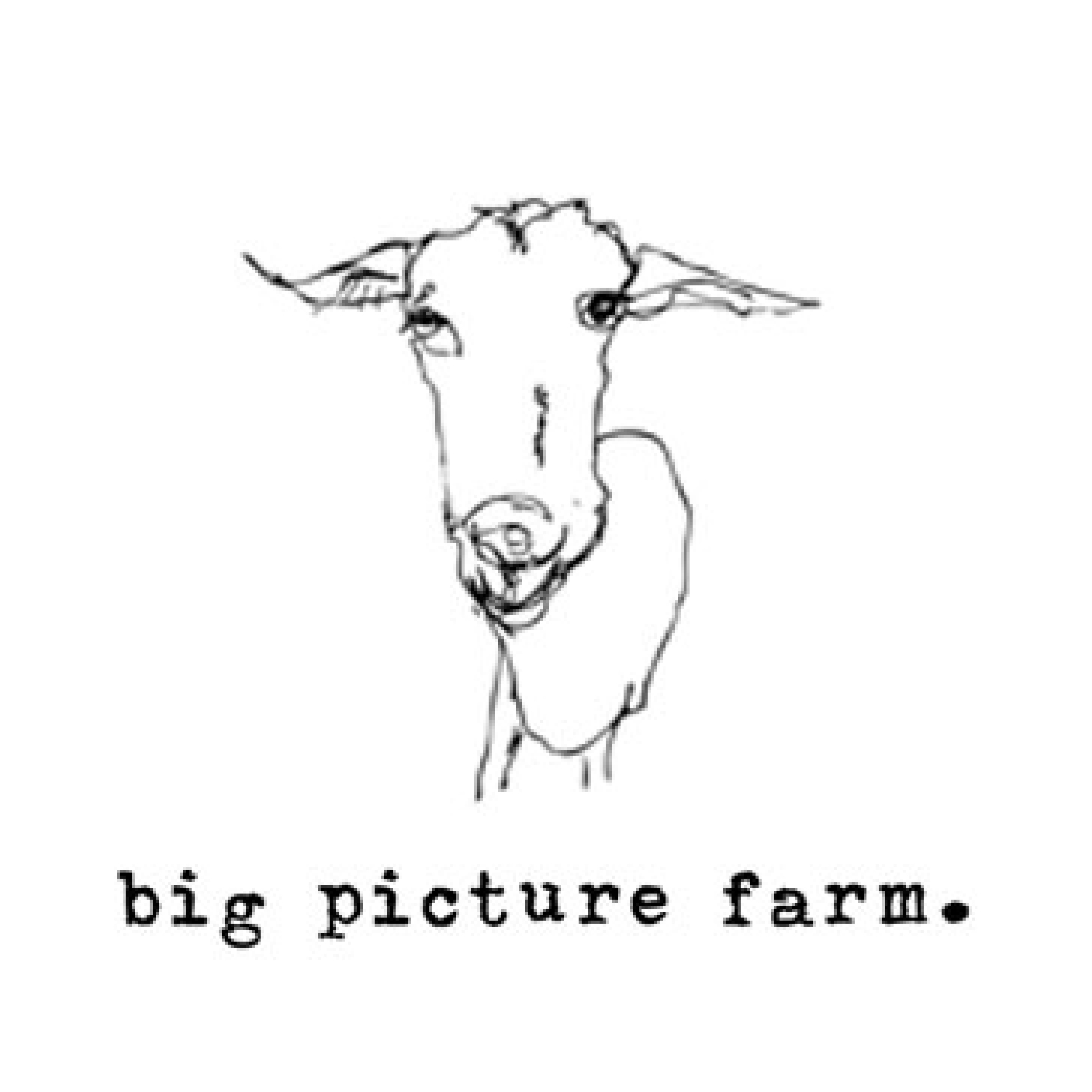Big Picture Farm Logo