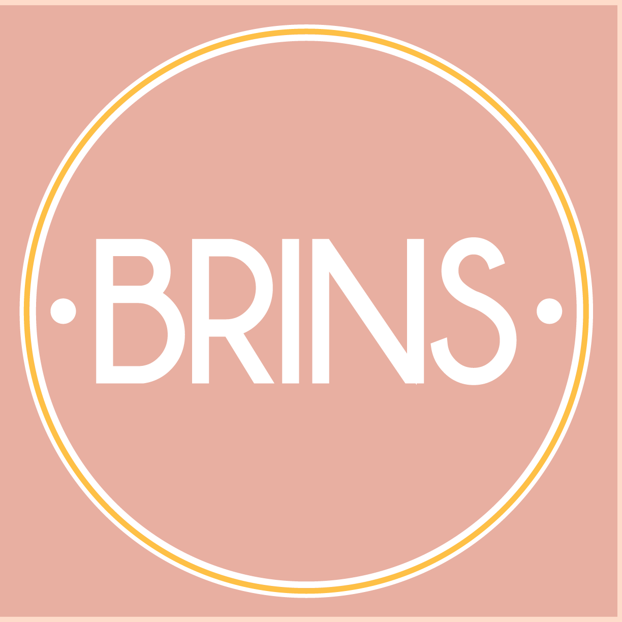 Brins Logo