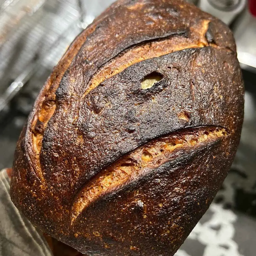 Country Bread - Midnite Bagel