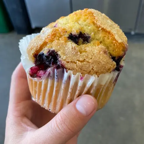 Blueberry Lemon Muffin Delivery