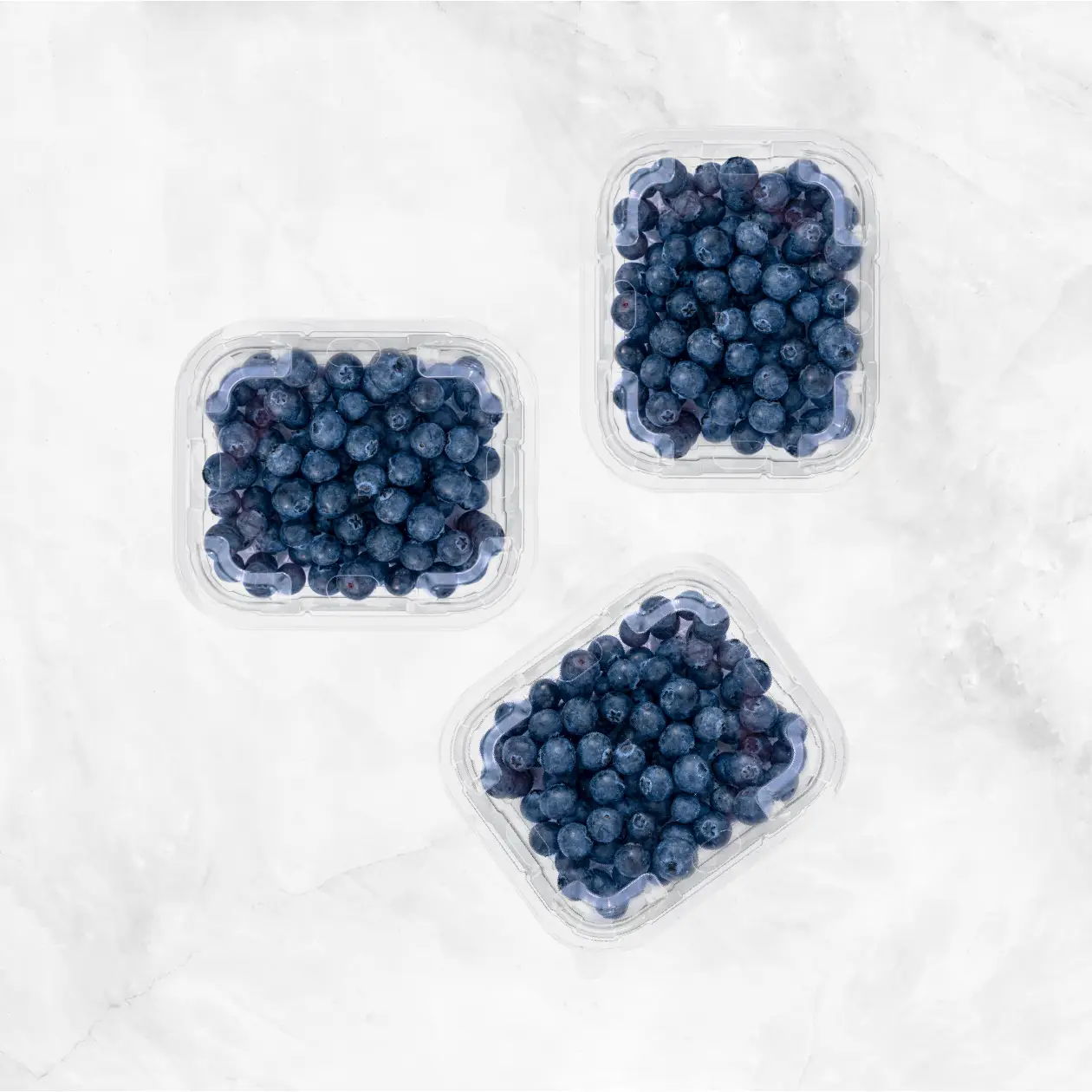 Blueberries - 3 Pack 
