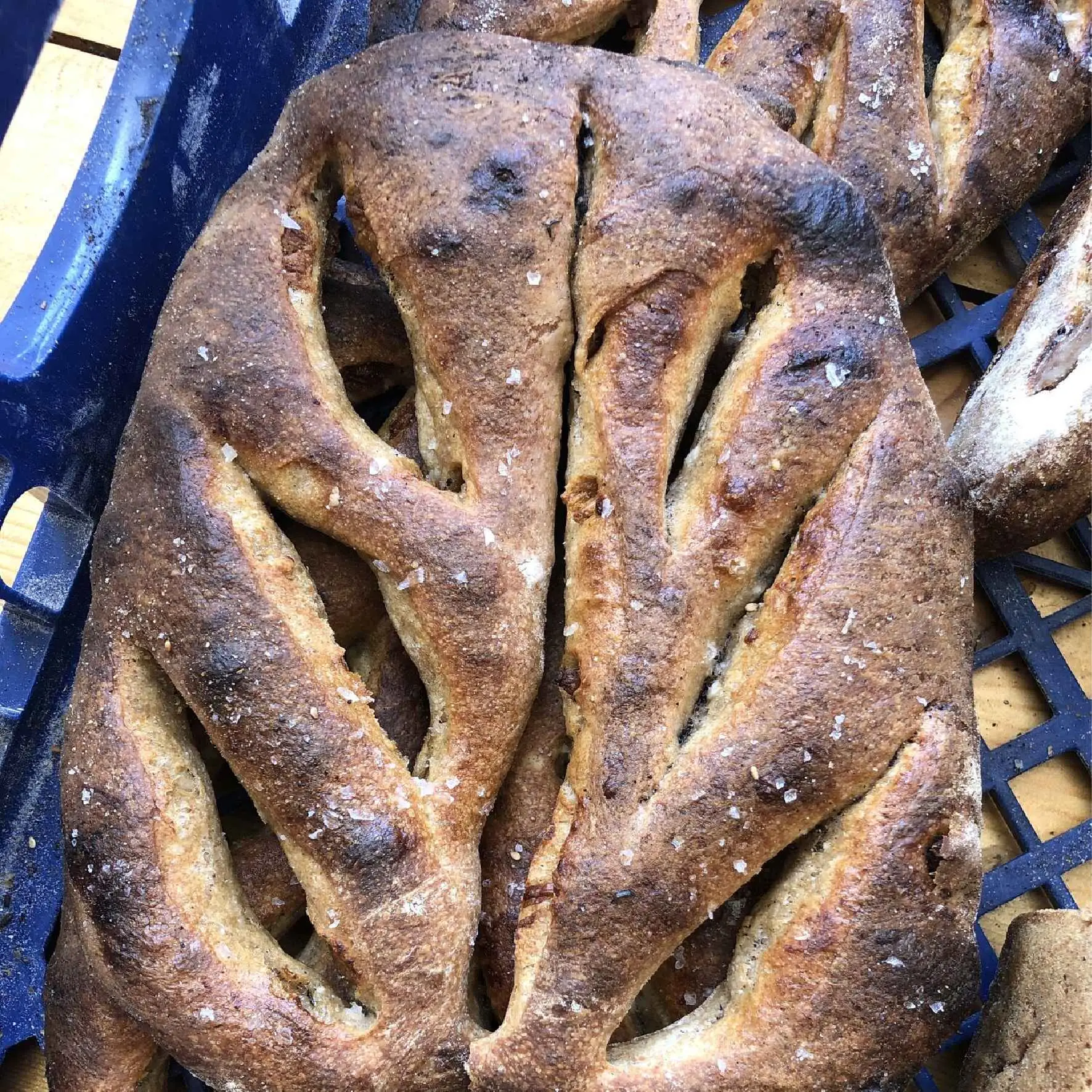 Olive Fougasse Delivery