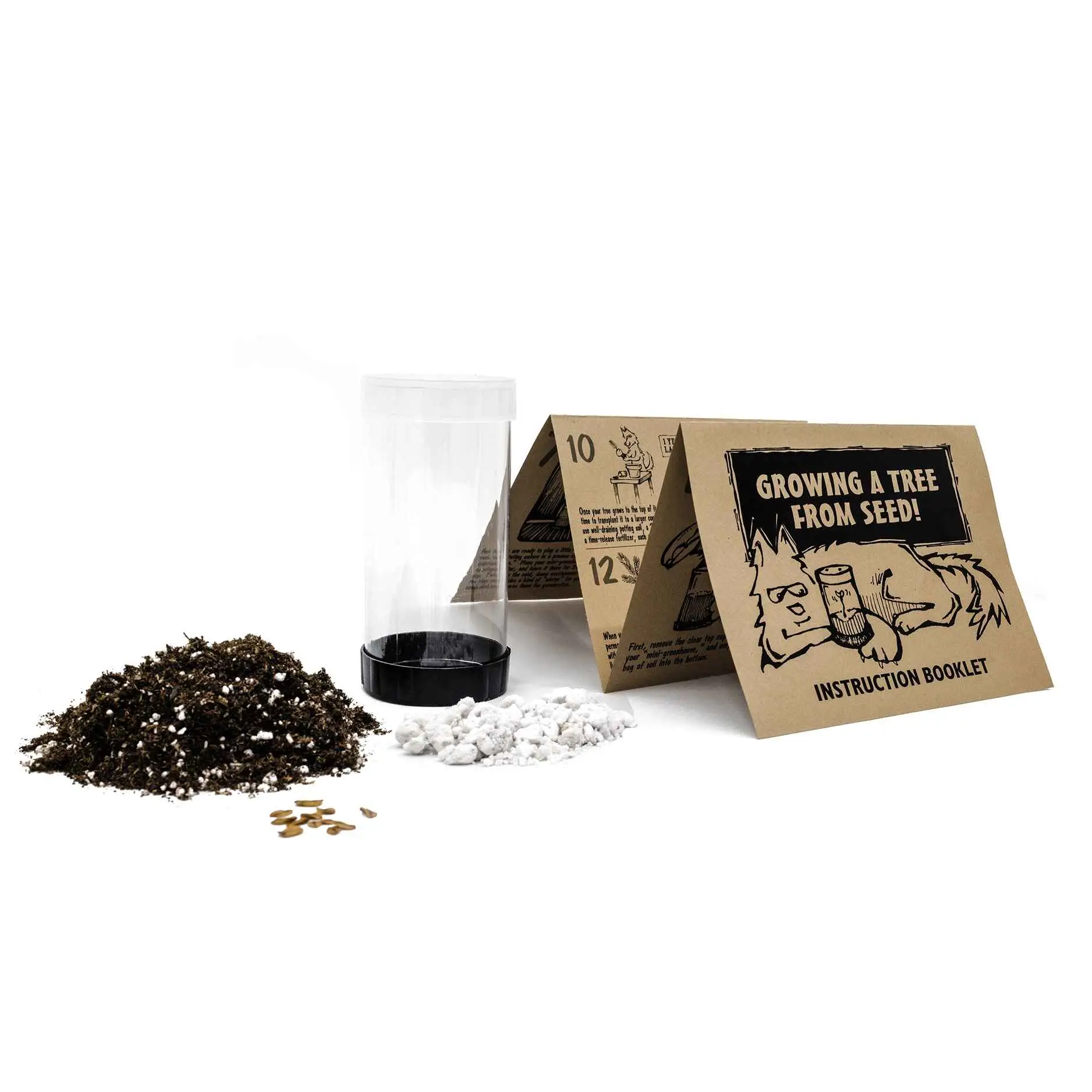 Coast Redwood | Seed Grow Kit Delivery