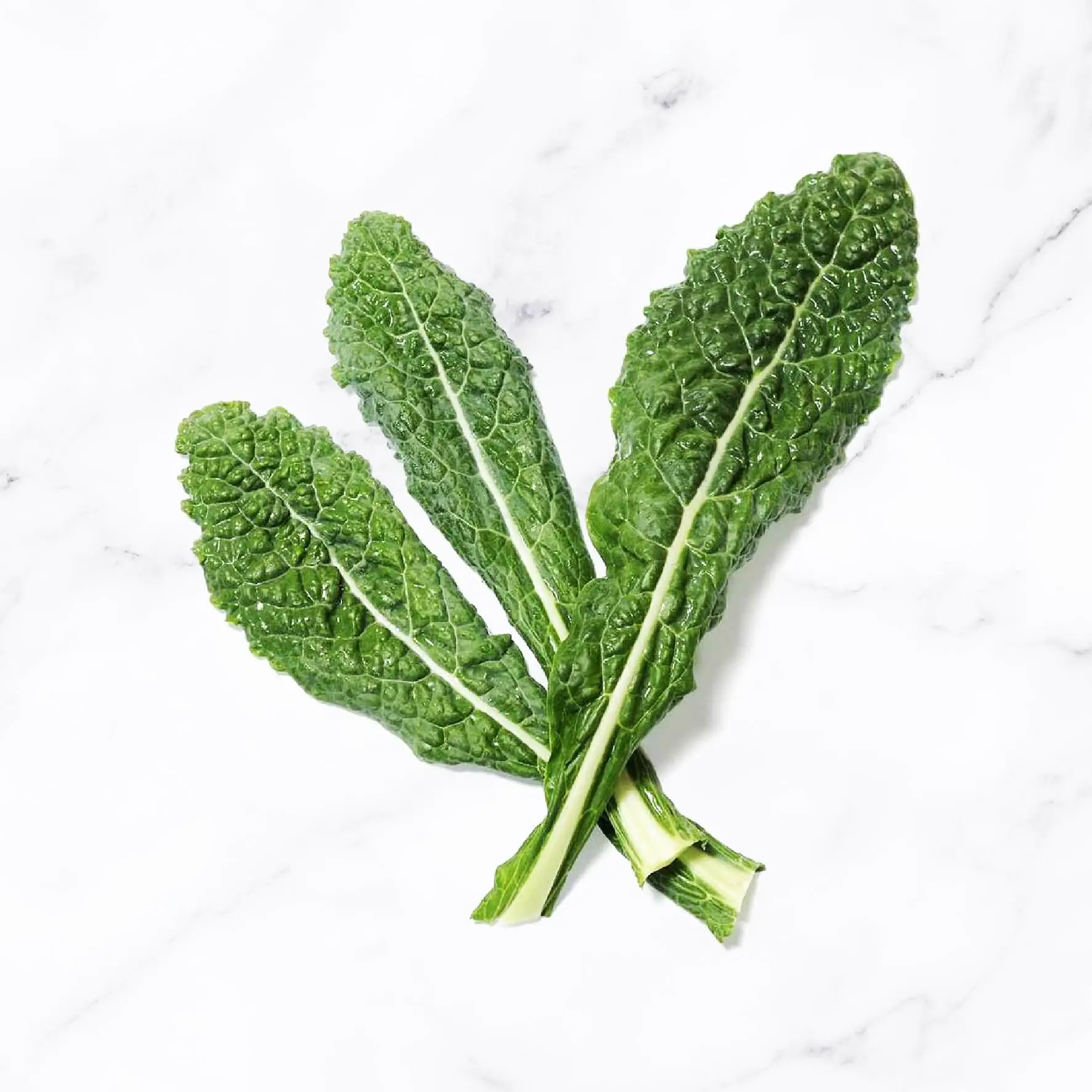 Organic Lacinato Kale Delivery