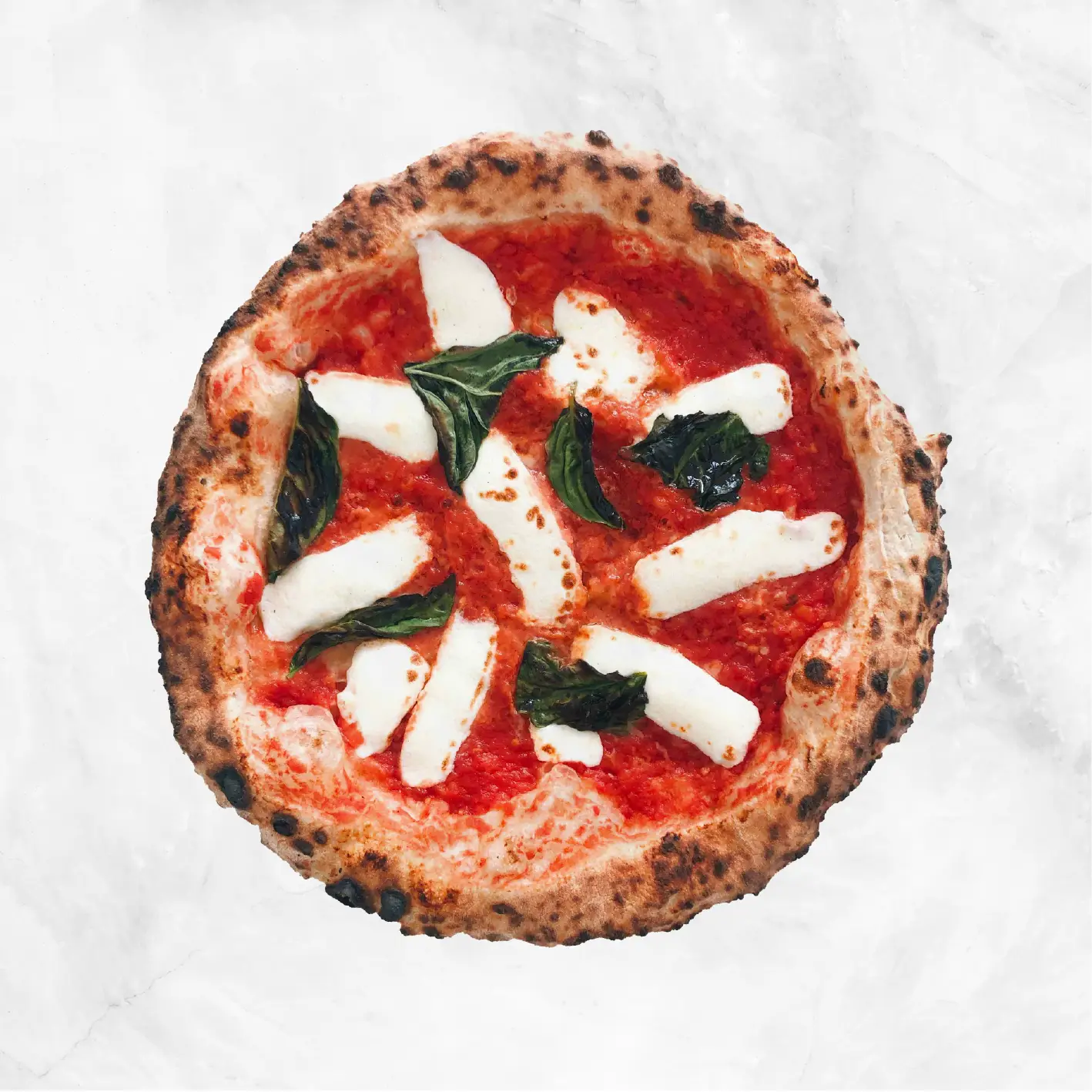 Margherita Pizza - Pi00a Delivery