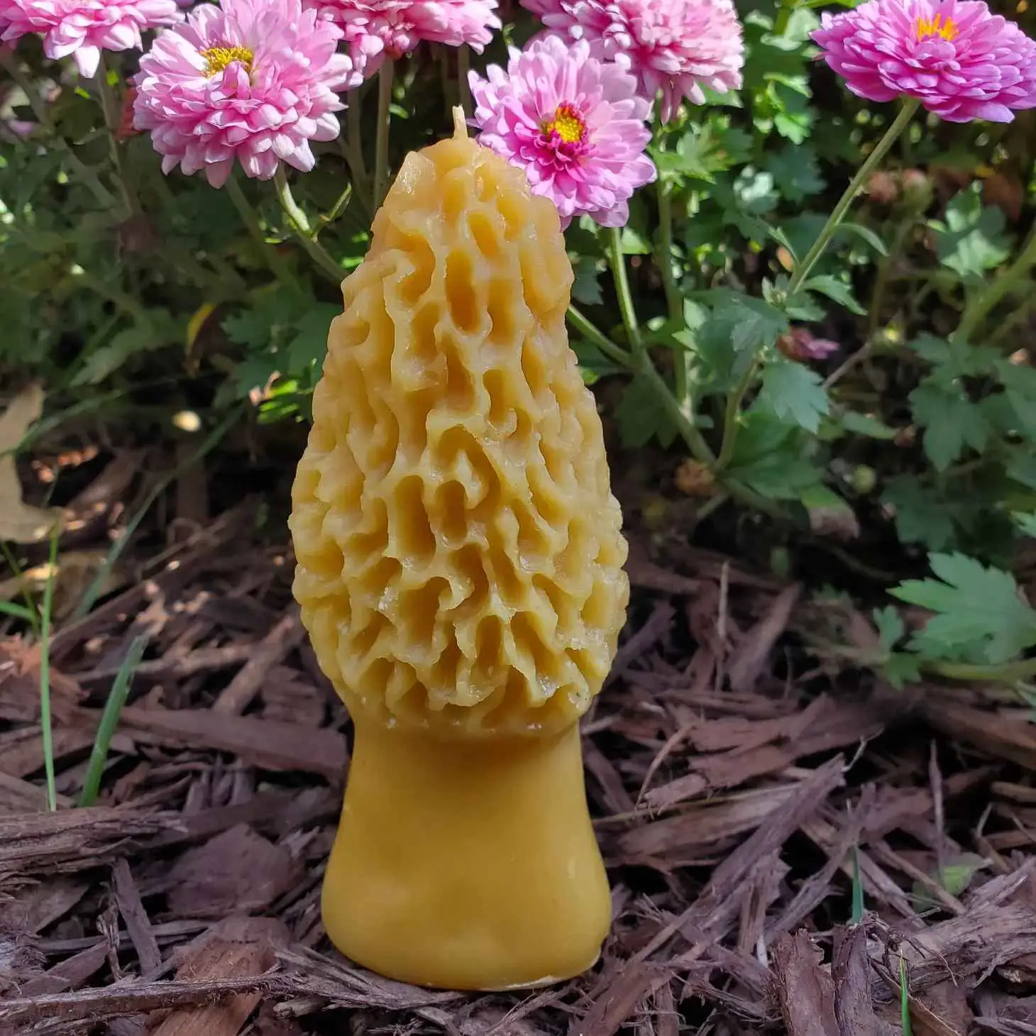 Morel Mushroom Beeswax Candle Delivery