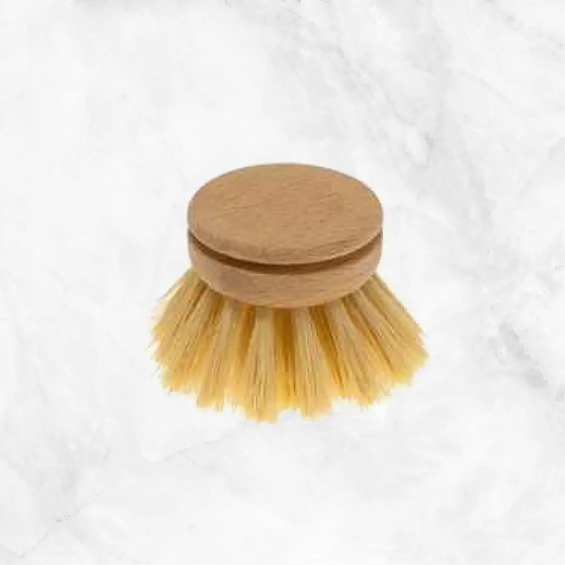 Dish Brush Everyday Refill Beech Delivery
