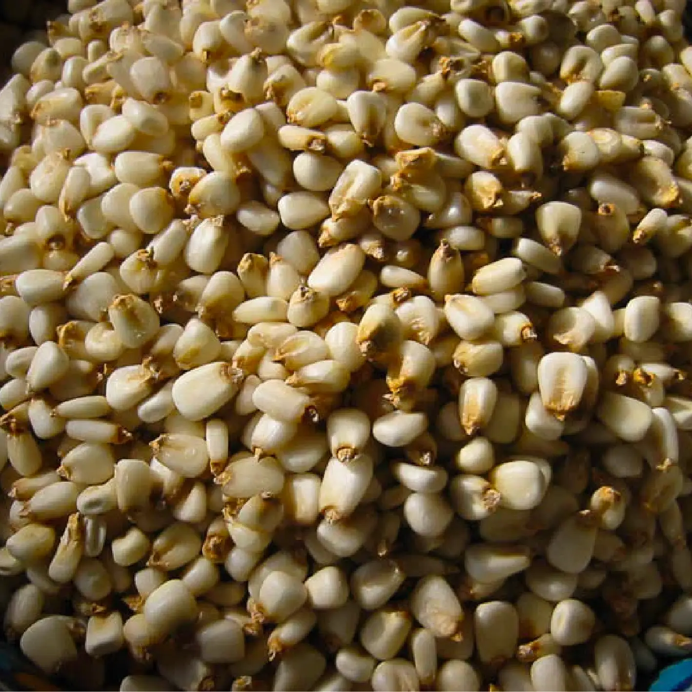 White Corn Posole - Prepared Hominy Delivery