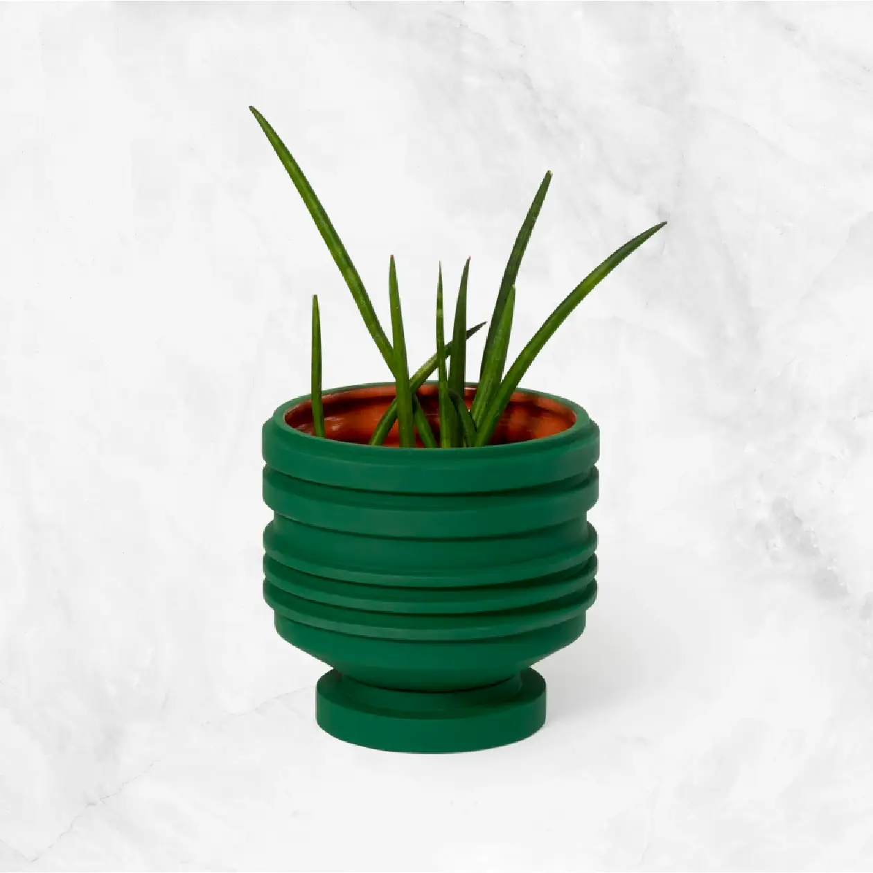 Strata Plant Vessel - Green