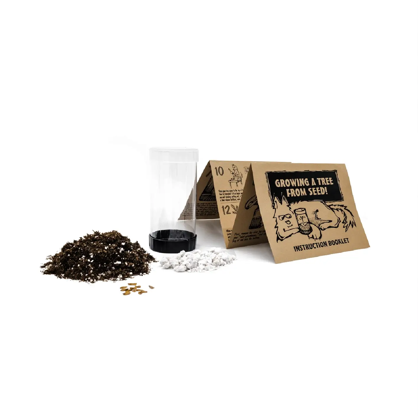 Palm Tree | Seed Grow Kit Delivery