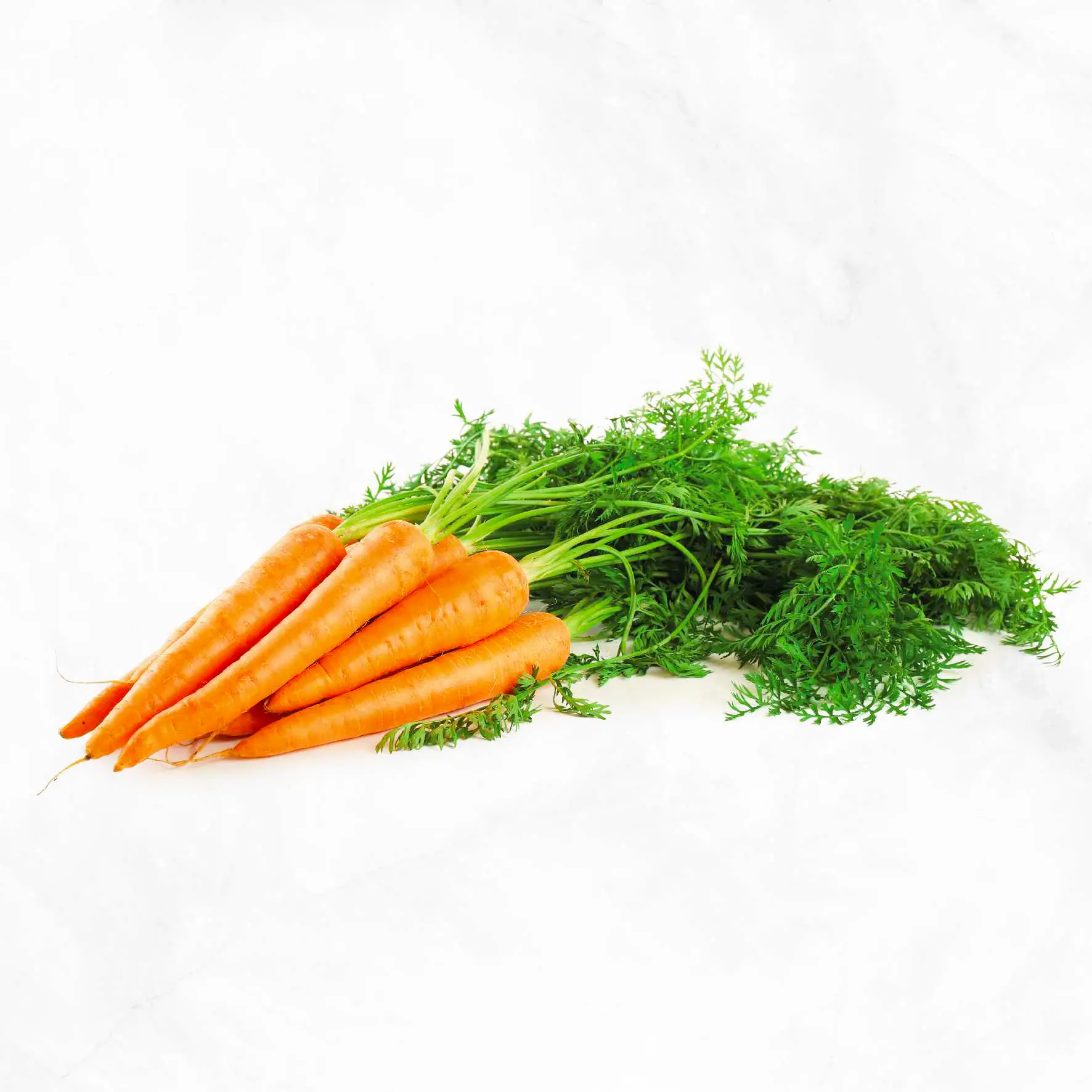Organic Carrots - Dirty Girl Produce