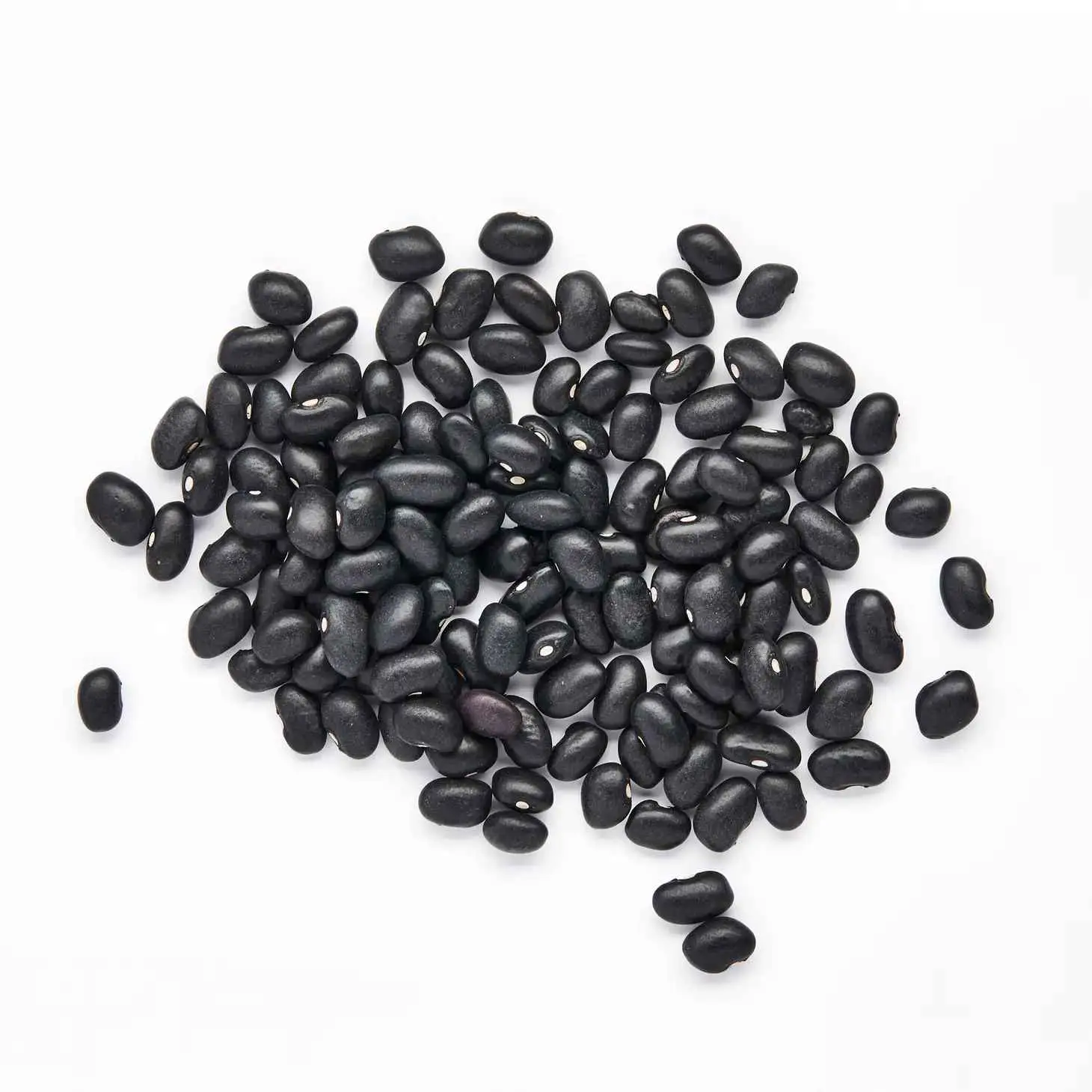 Heirloom Chatino Black Beans Delivery