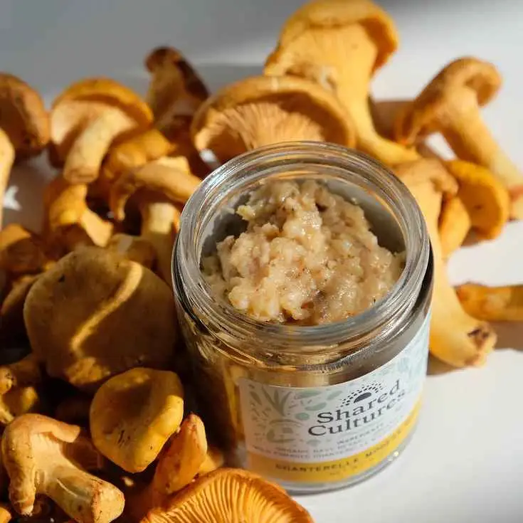 Chanterelle Modern Miso Delivery