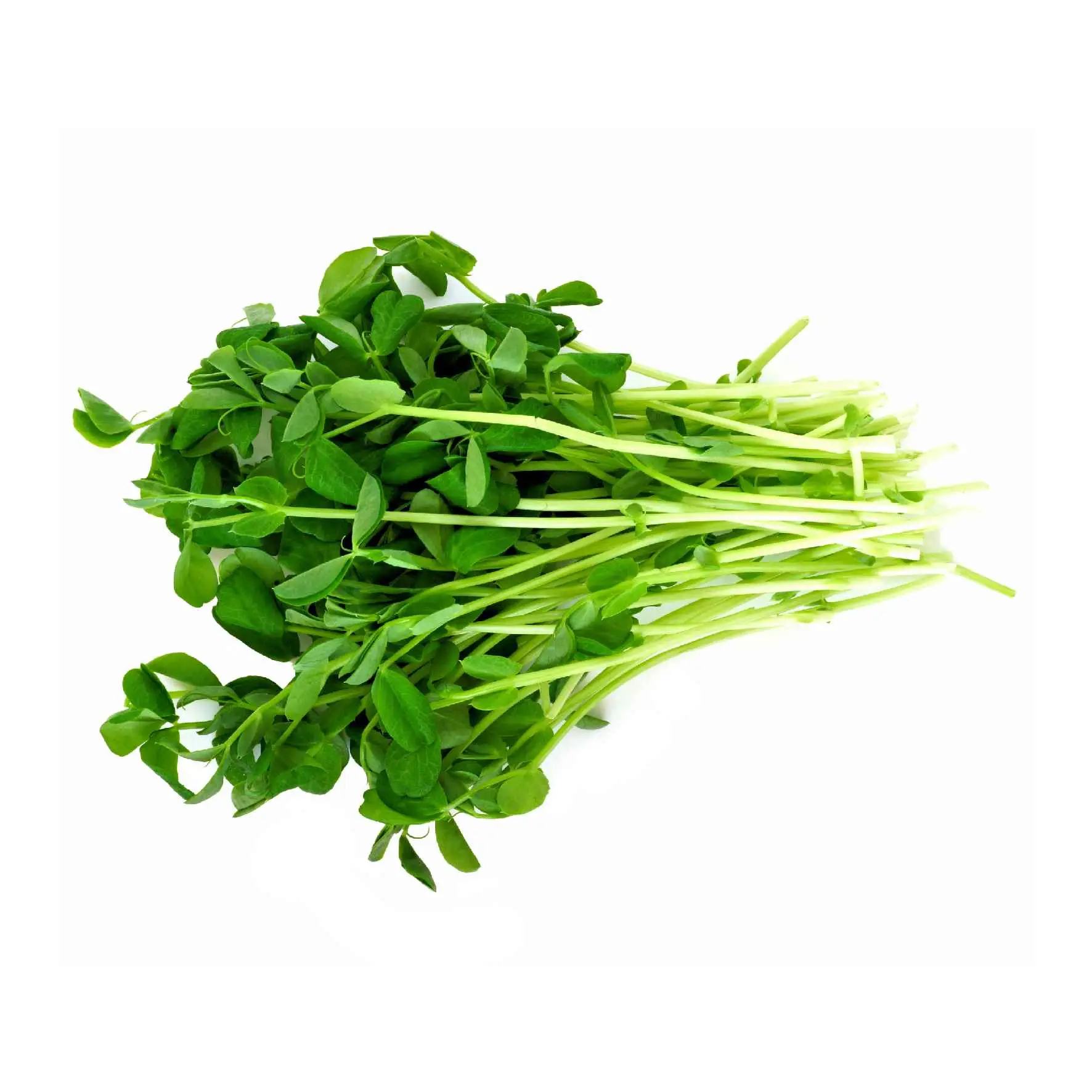 Organic Pea Shoots Delivery