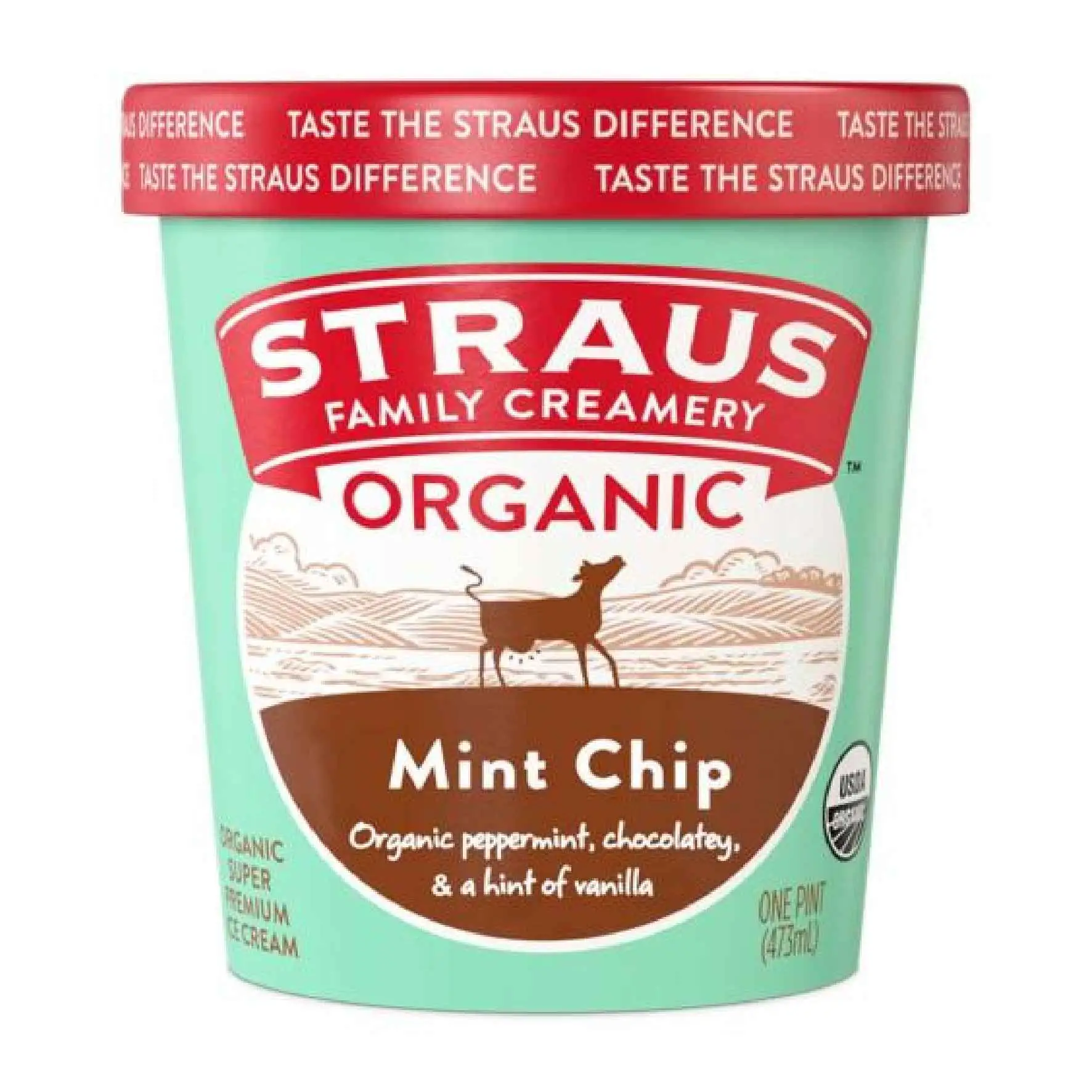 Organic Mint Chip Ice Cream