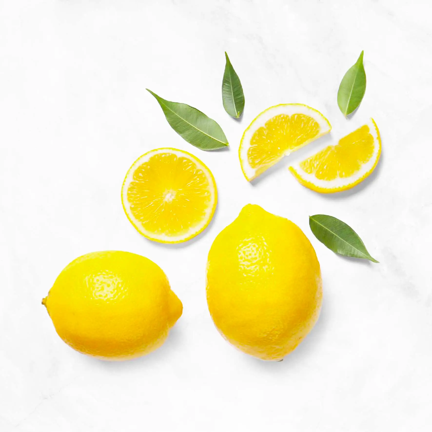 Feed Lemons