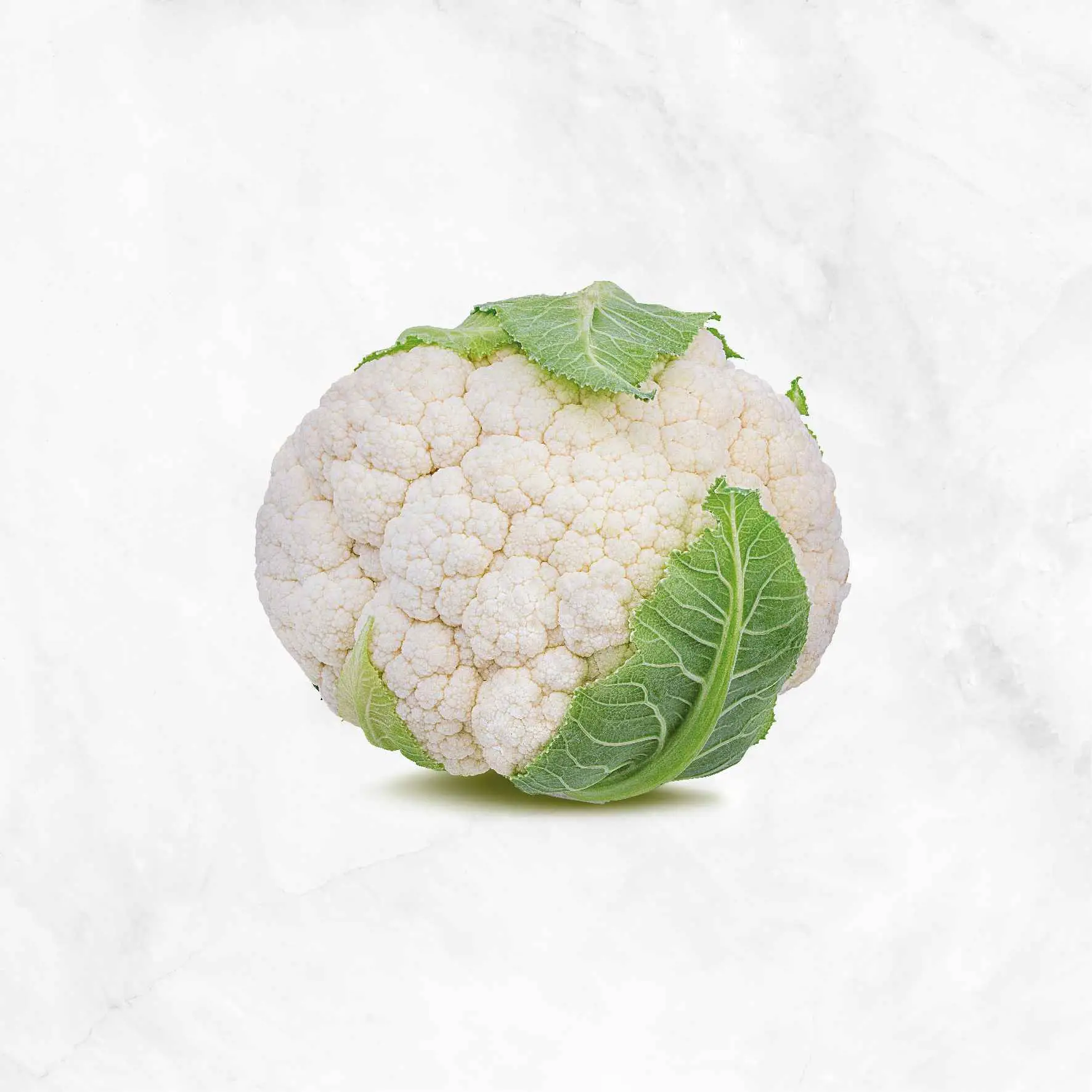 Organic Cauliflower - Dirty Girl Produce
