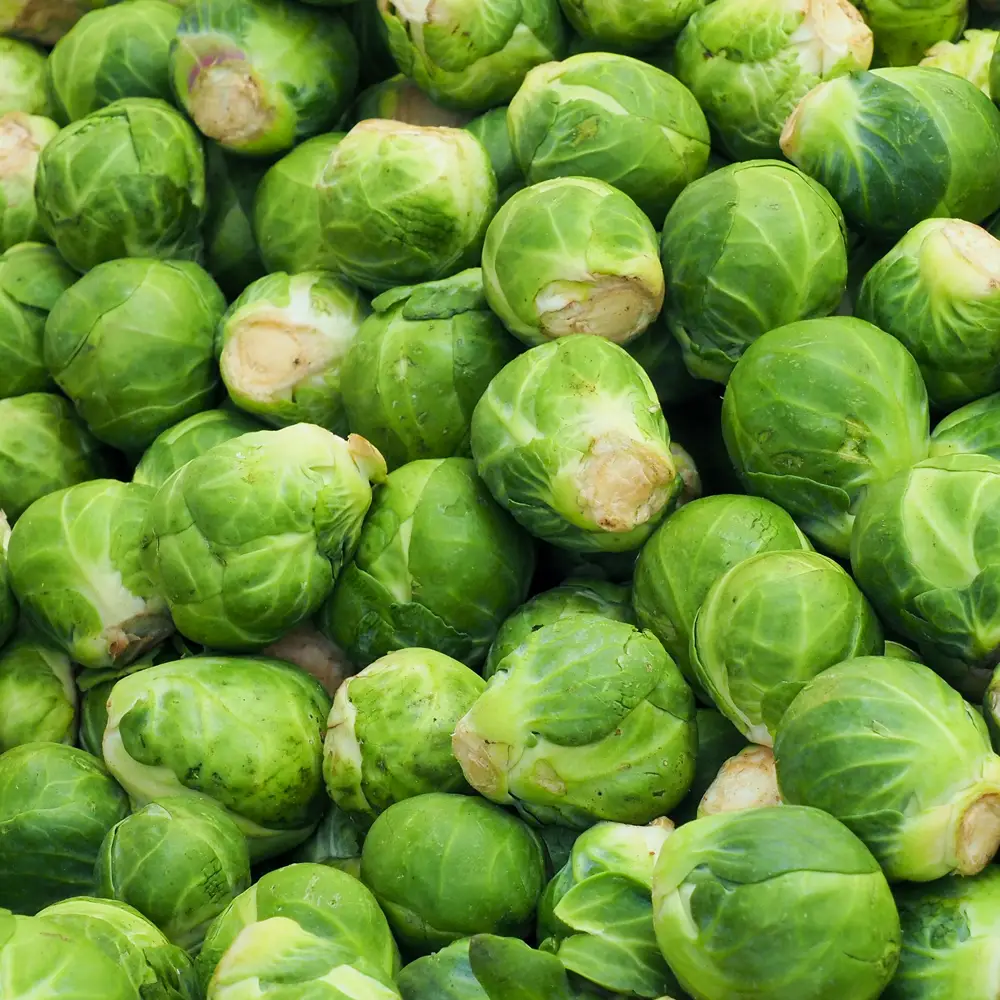 Organic Brussels Sprouts Delivery