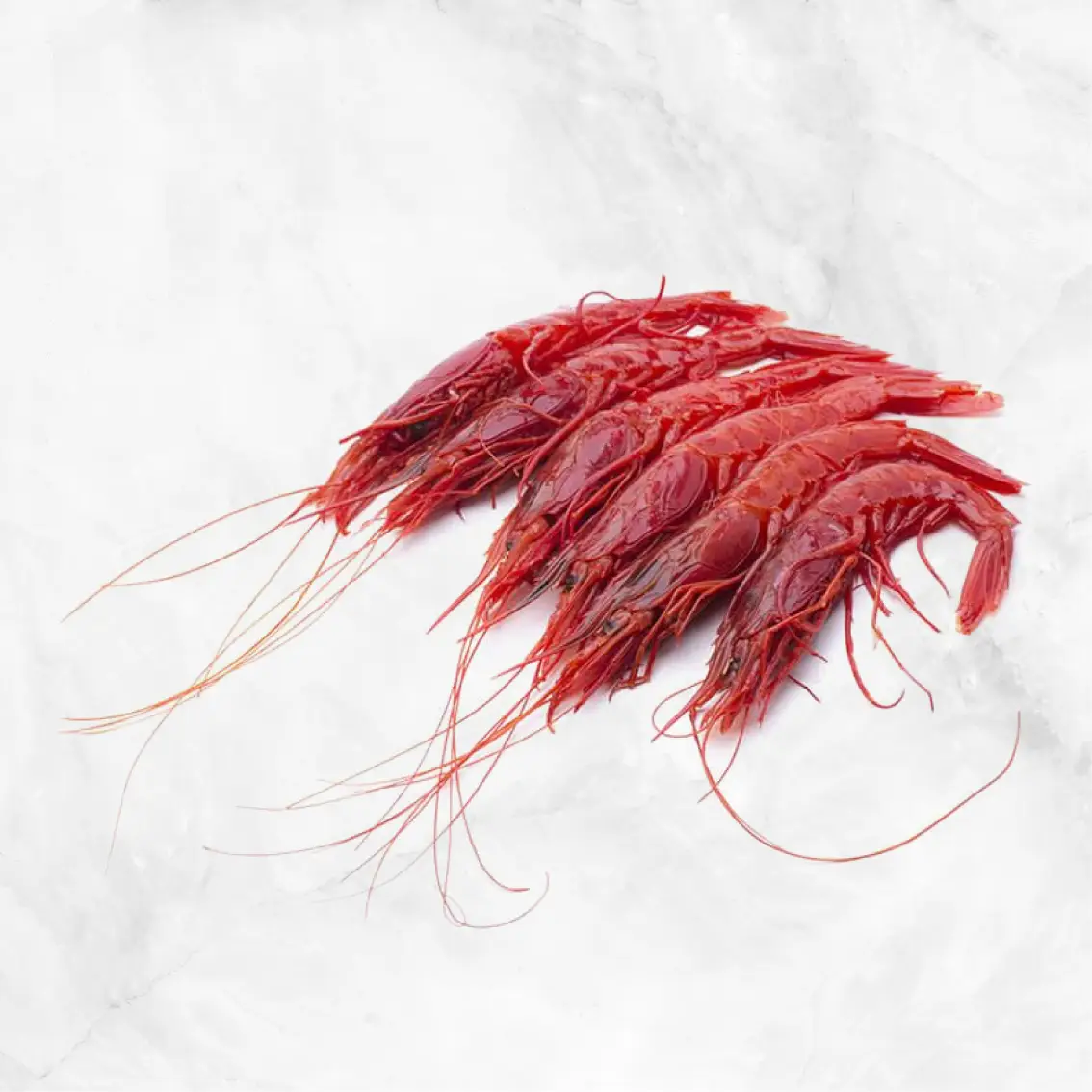 Head-On Carabineros (Spanish Red Shrimp) 