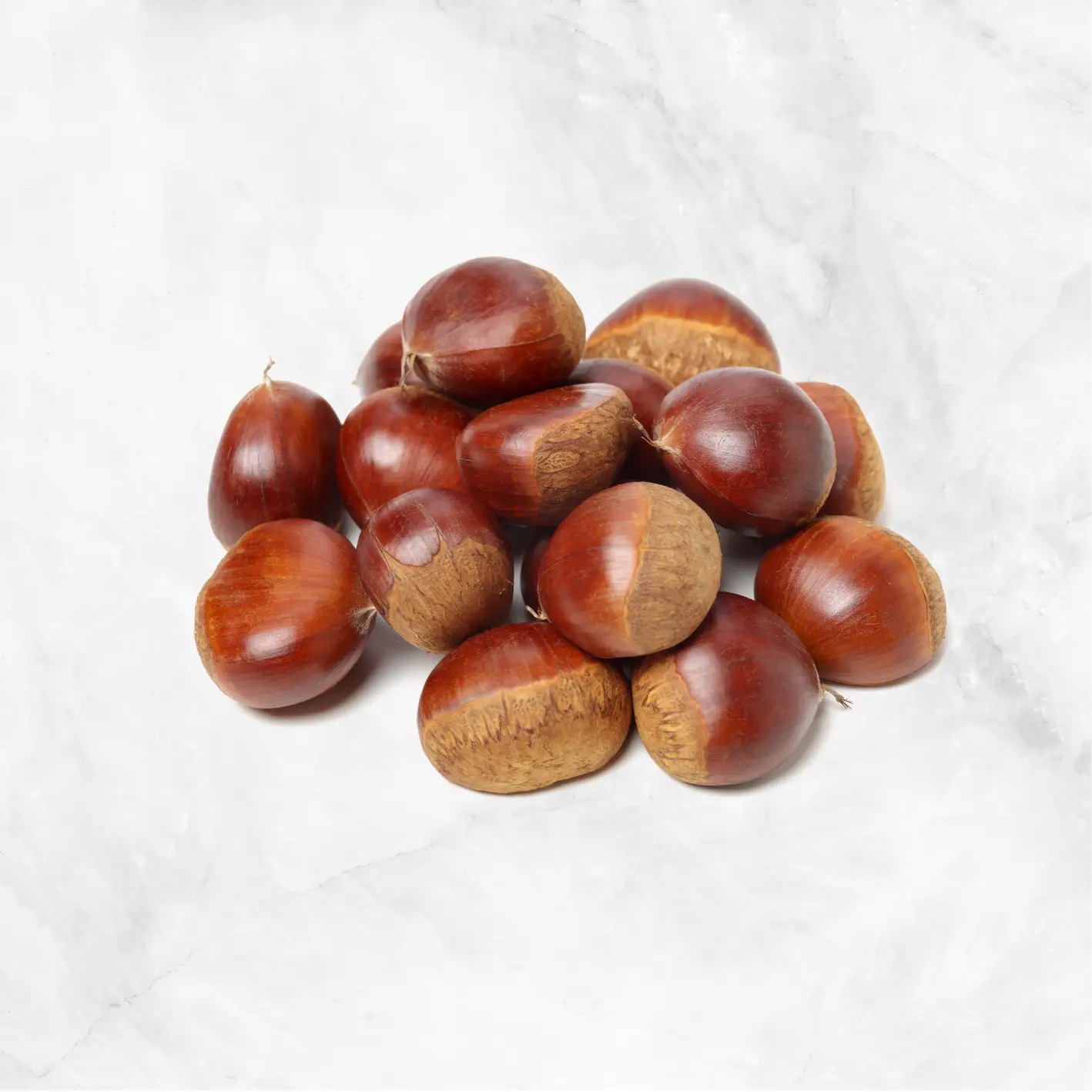 Organic Fresh Chestnuts