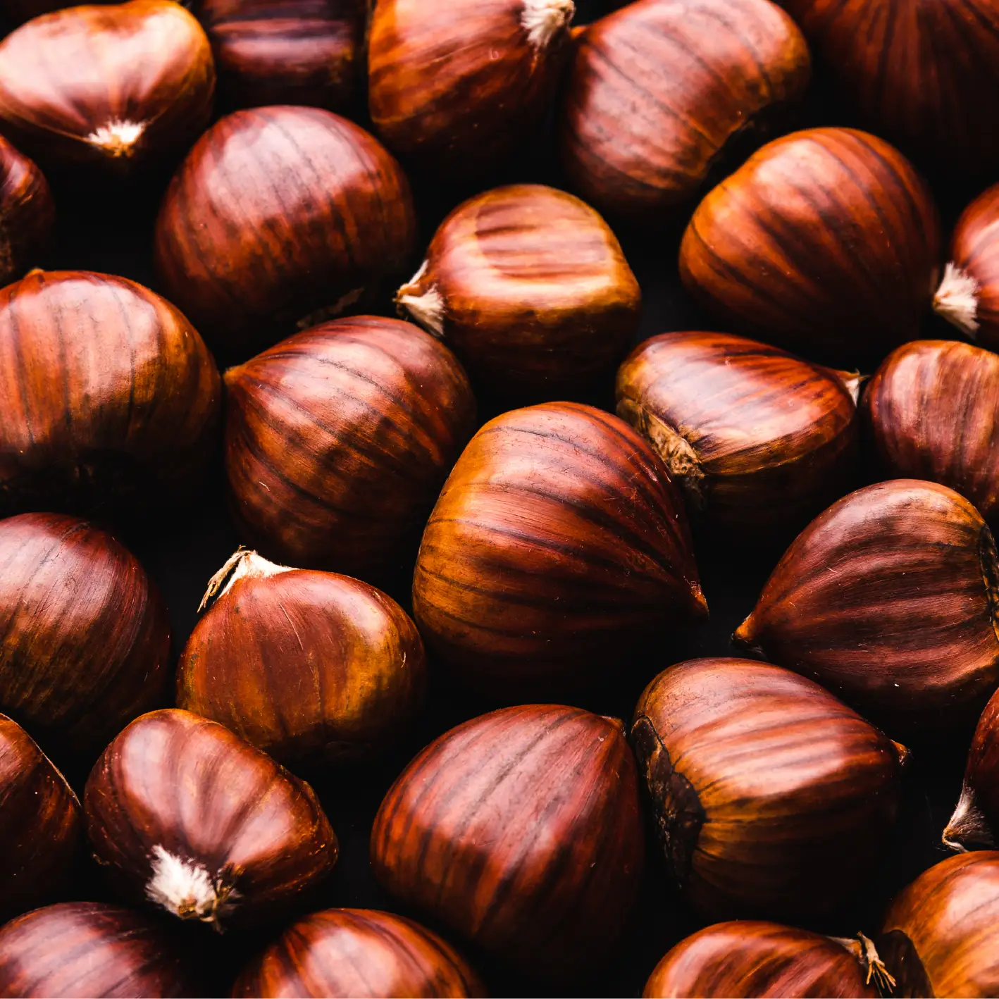 Organic Fresh Chestnuts Delivery