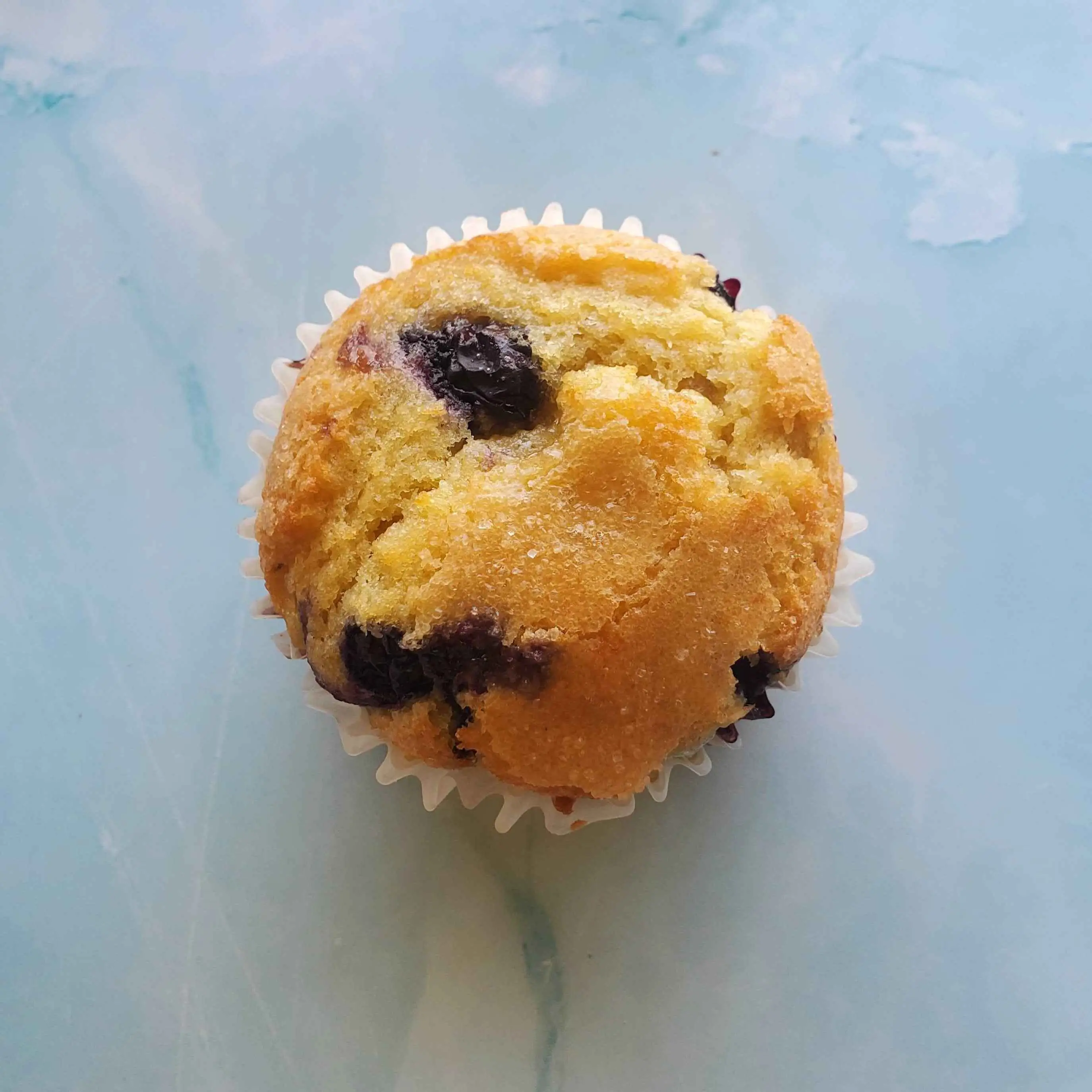 Blueberry Lemon Muffin Delivery