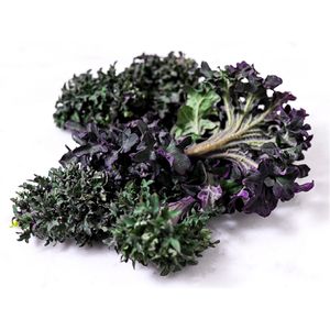 Organic RedUrsa Kale