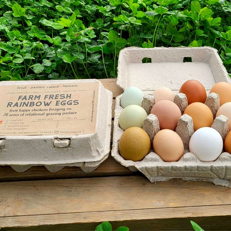 Chicken Eggs Delivery