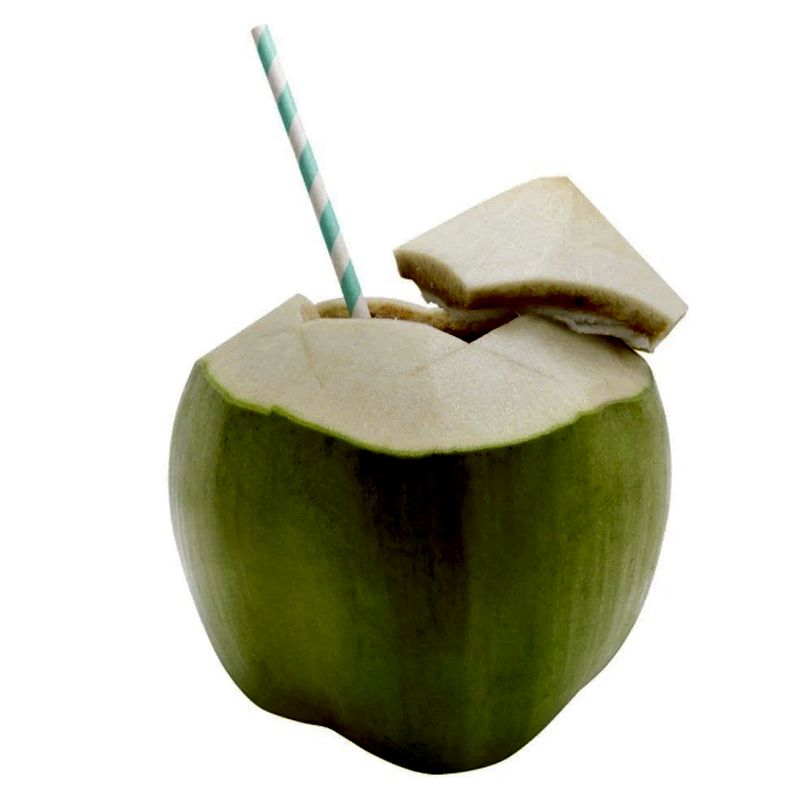 Coconut Water Powder Delivery